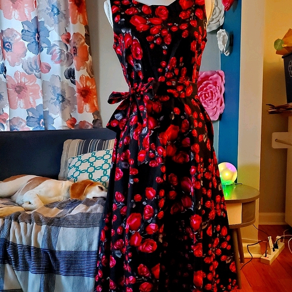 luouse Dresses & Skirts - 💖Host Pick💖 Vintage inspired fit and flare dress